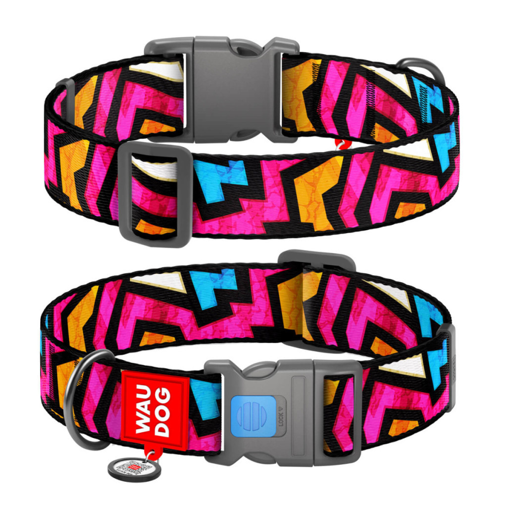 Нашийник для тварин WAUDOG Nylon з QR паспортом "Графіті" пластиковий фастекс Ш 25 мм Д 37-58 см (4735) - зображення 1
