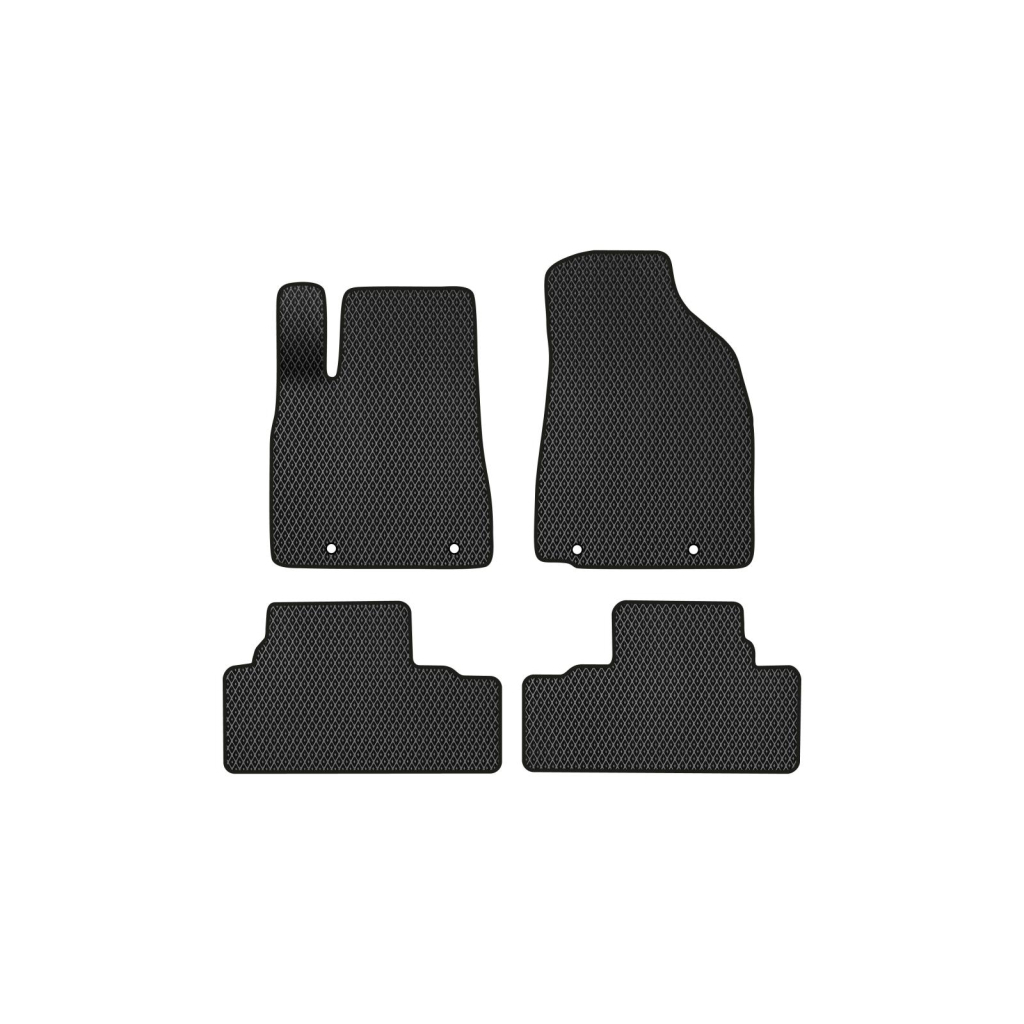 Килимок в салон EVAtech Lexus RX 350 (AL10) 2009-2015 3 покоління (LS22615PVC4LA4RBB) - зображення 1