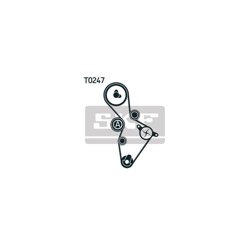 Комплект ременя ГРМ з помпой SKF VKMC 01220 - зображення 2