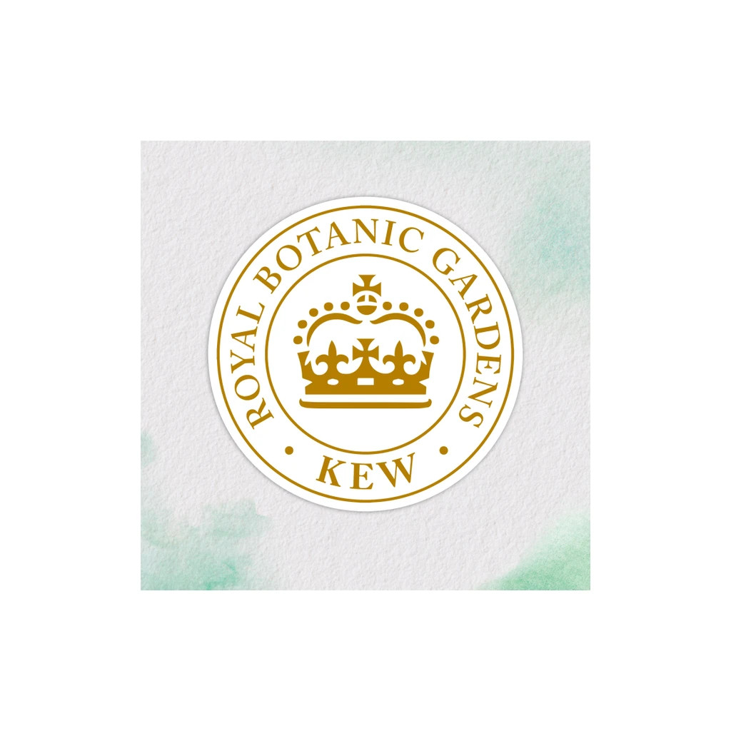 Маска для волосся Herbal Essences Арганова олія Відновлювальна 300 мл (8700216210966) - зображення 3