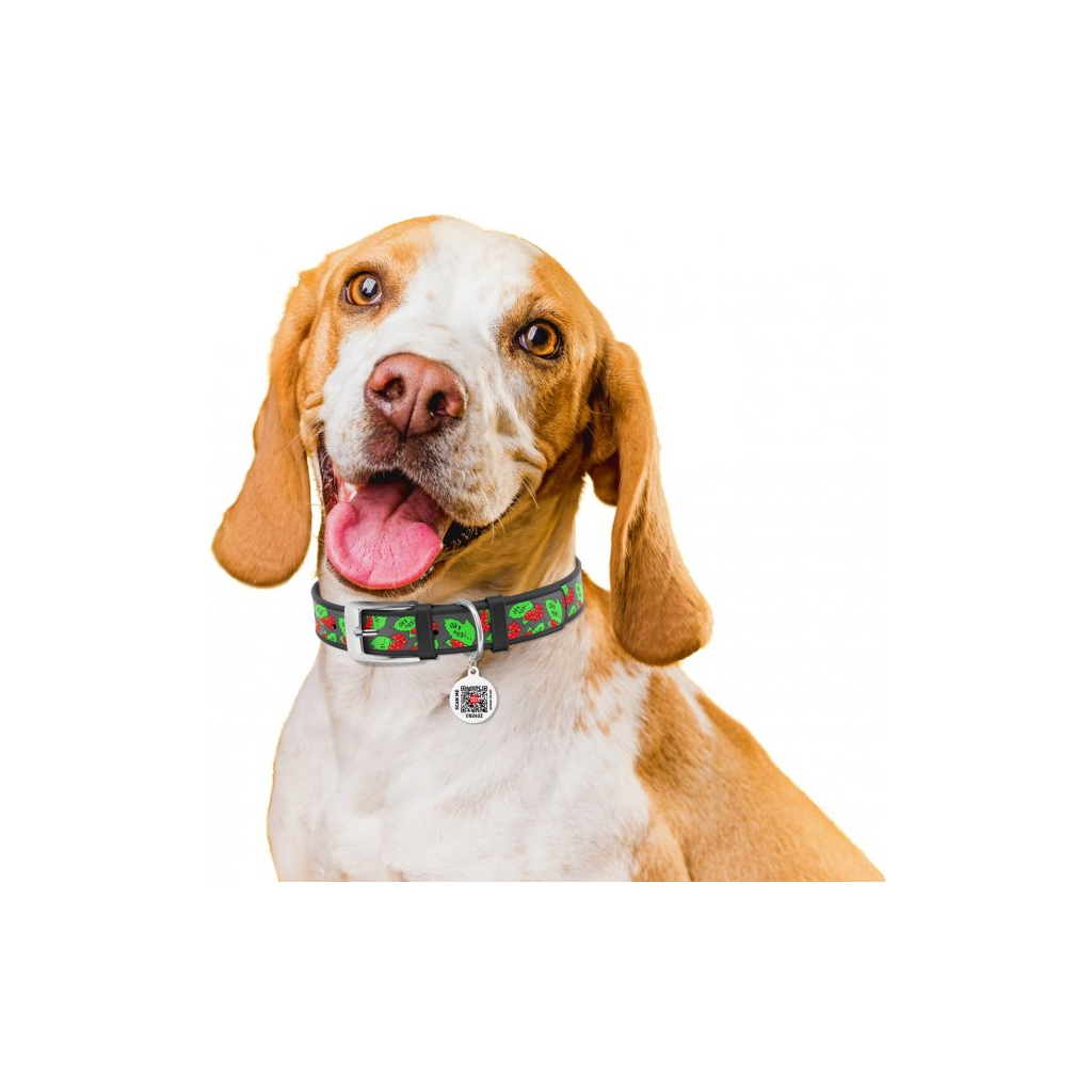 Нашийник для тварин WAUDOG Design з QR паспортом "Калина" S Ш 15 мм Д 26-35 см (чорний) (3603-0228-01) - зображення 3