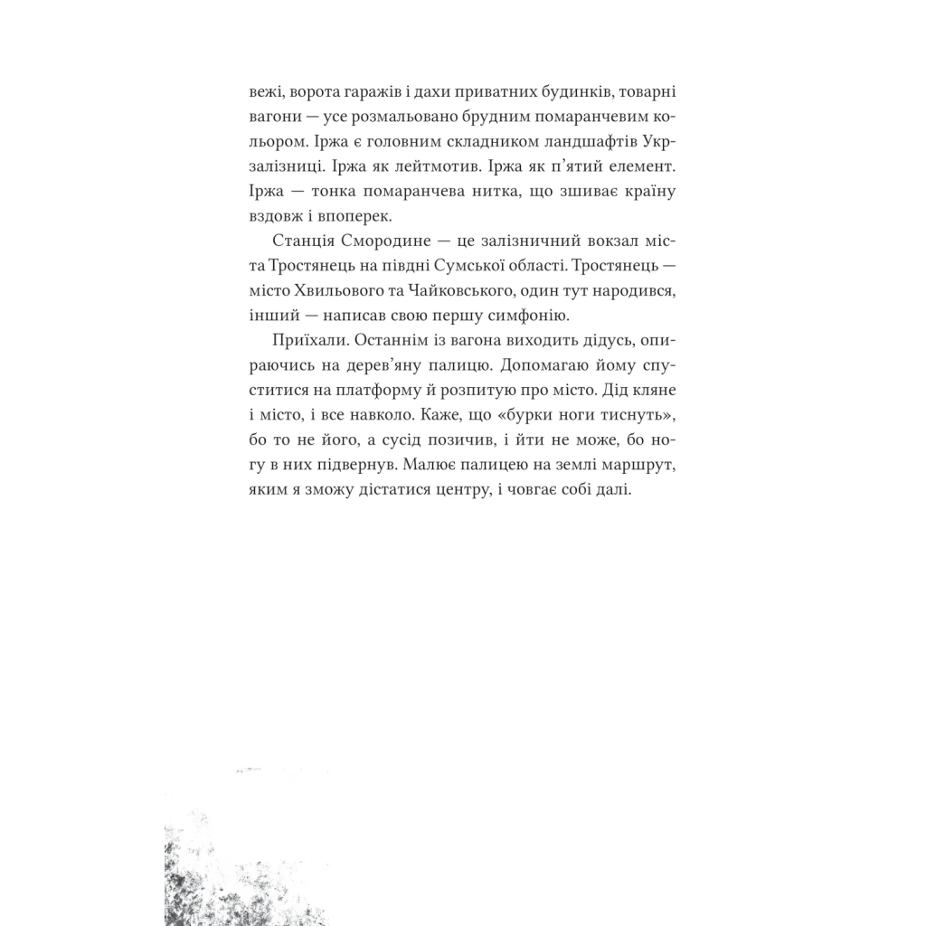 Книга Над прірвою в іржі - Павло Стех Vivat (9786171706316) - зображення 9
