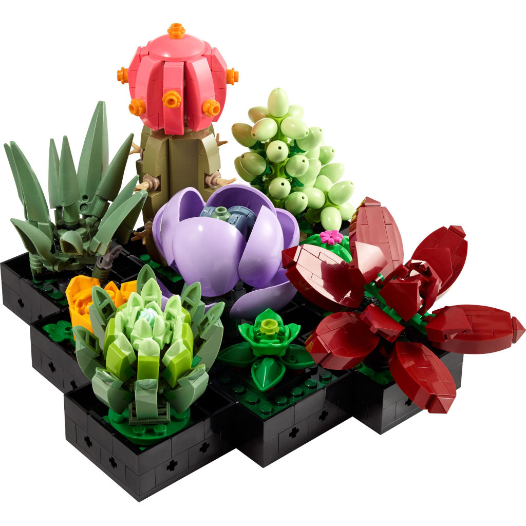 Конструктор LEGO Botanicals Сукуленти (10309-) - зображення 2
