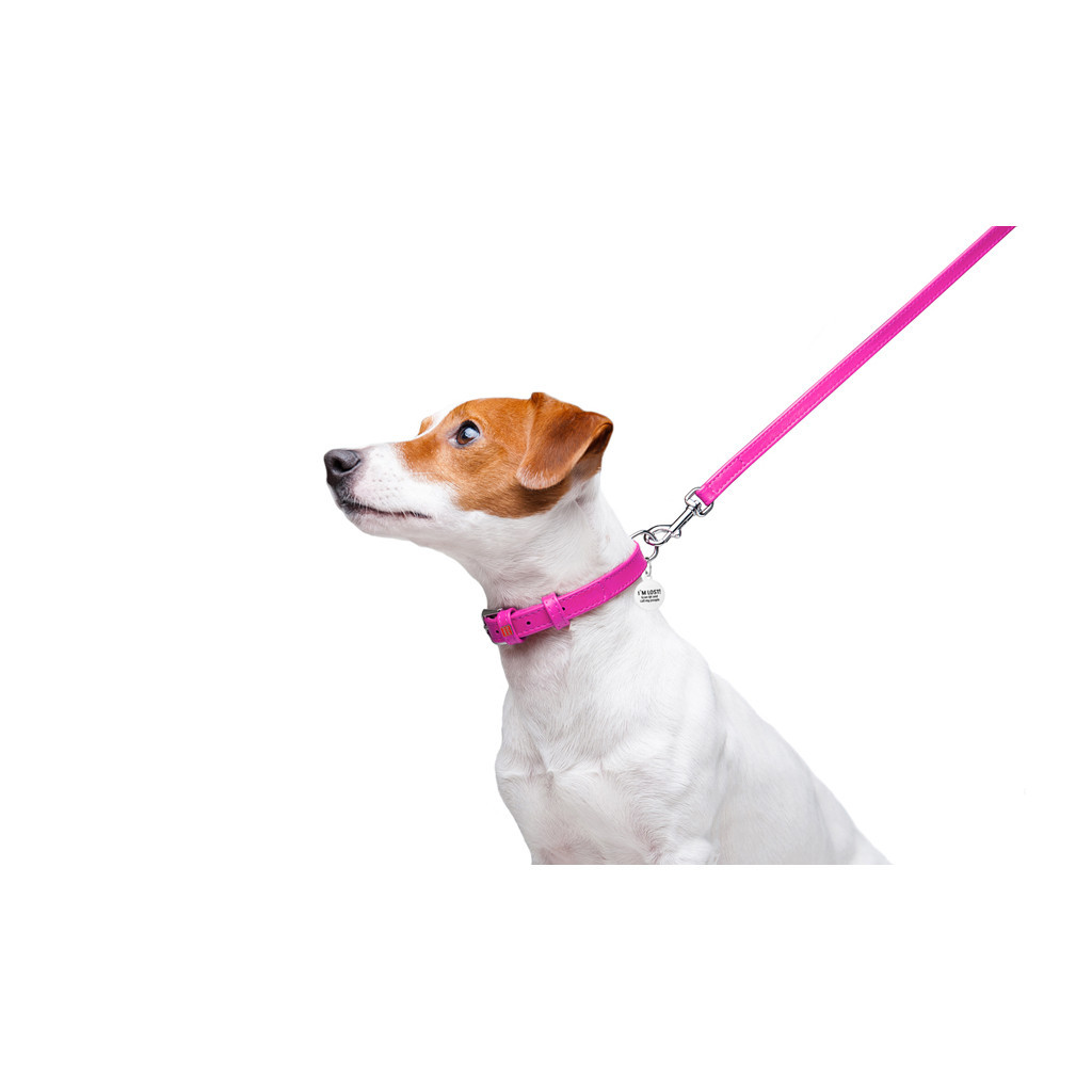 Повідець для собак WAUDOG Glamour шкіряний XS рожевий (33727) - зображення 5