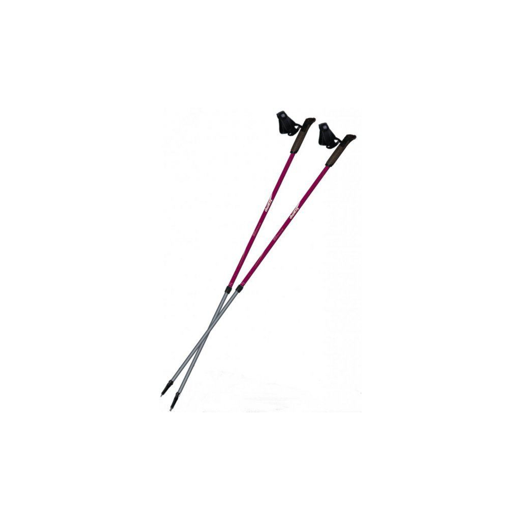 Палиці для скандинавської ходи Tramp Fitness пара (TRR-011) - зображення 2