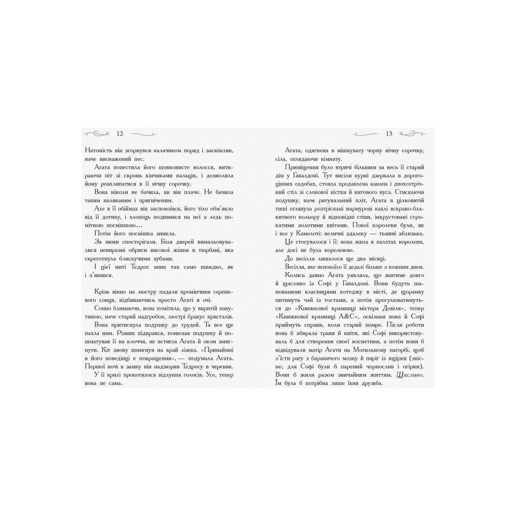 Книга У пошуках слави. Книга 4. Школа добра і зла - Зоман Чейнані Ранок (9786170960016) - зображення 4