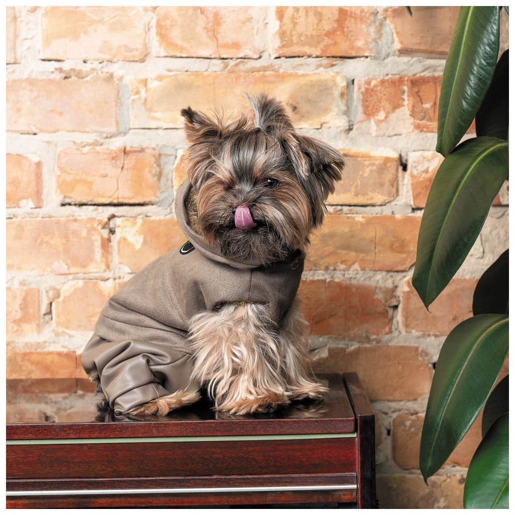 Костюм для тварин Pet Fashion PF Style XS2 бежевий (4823082427963) - зображення 5