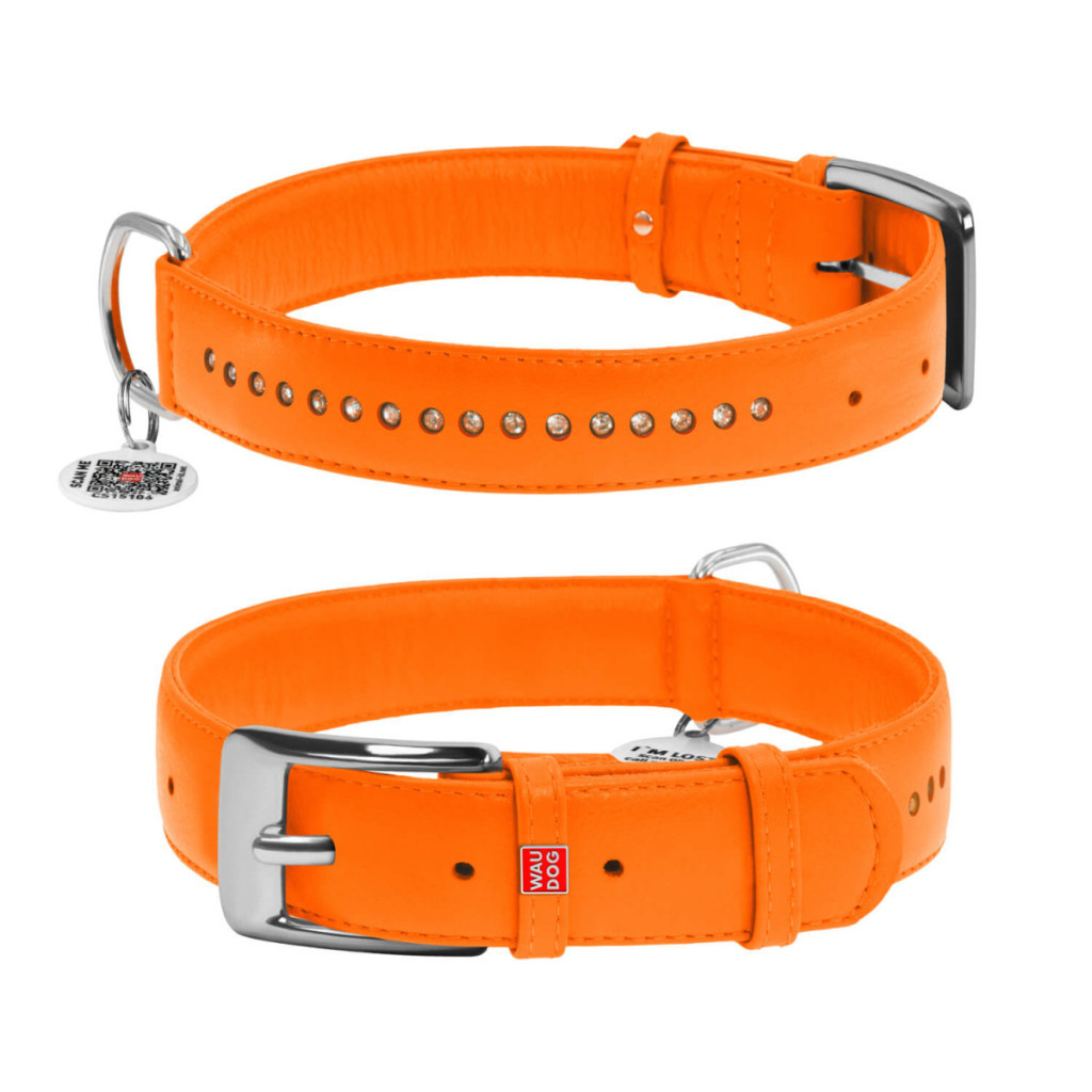 Нашийник для тварин WAUDOG Glamour з QR-паспортом, подвійний Ш 25 мм Д 38-49 см помаранчевий (38784) - зображення 1