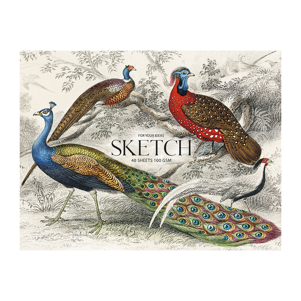 Альбом для малювання Школярик для ескізів, MUSE А4 40 аркушів 100г/м2 (PB-GB-040-047) - зображення 1