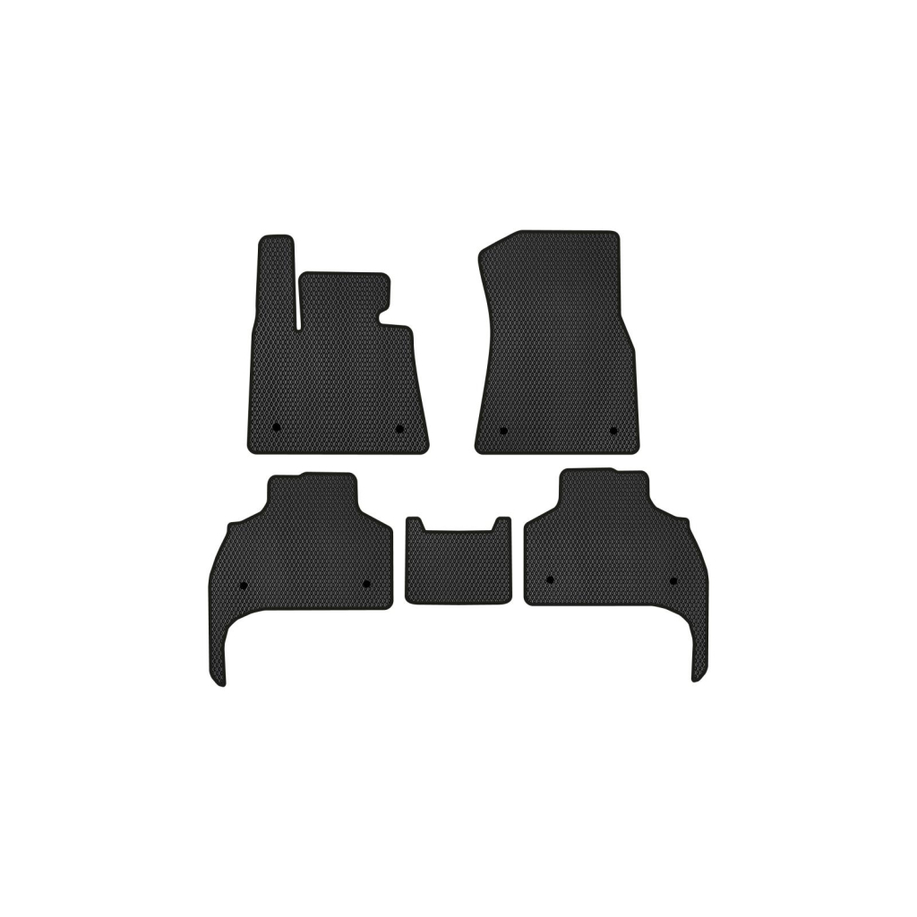 Килимок в салон EVAtech BMW X5 (G05) 2018+ 4 покоління SUV EU (BM1523C5BW8RBB) - зображення 1