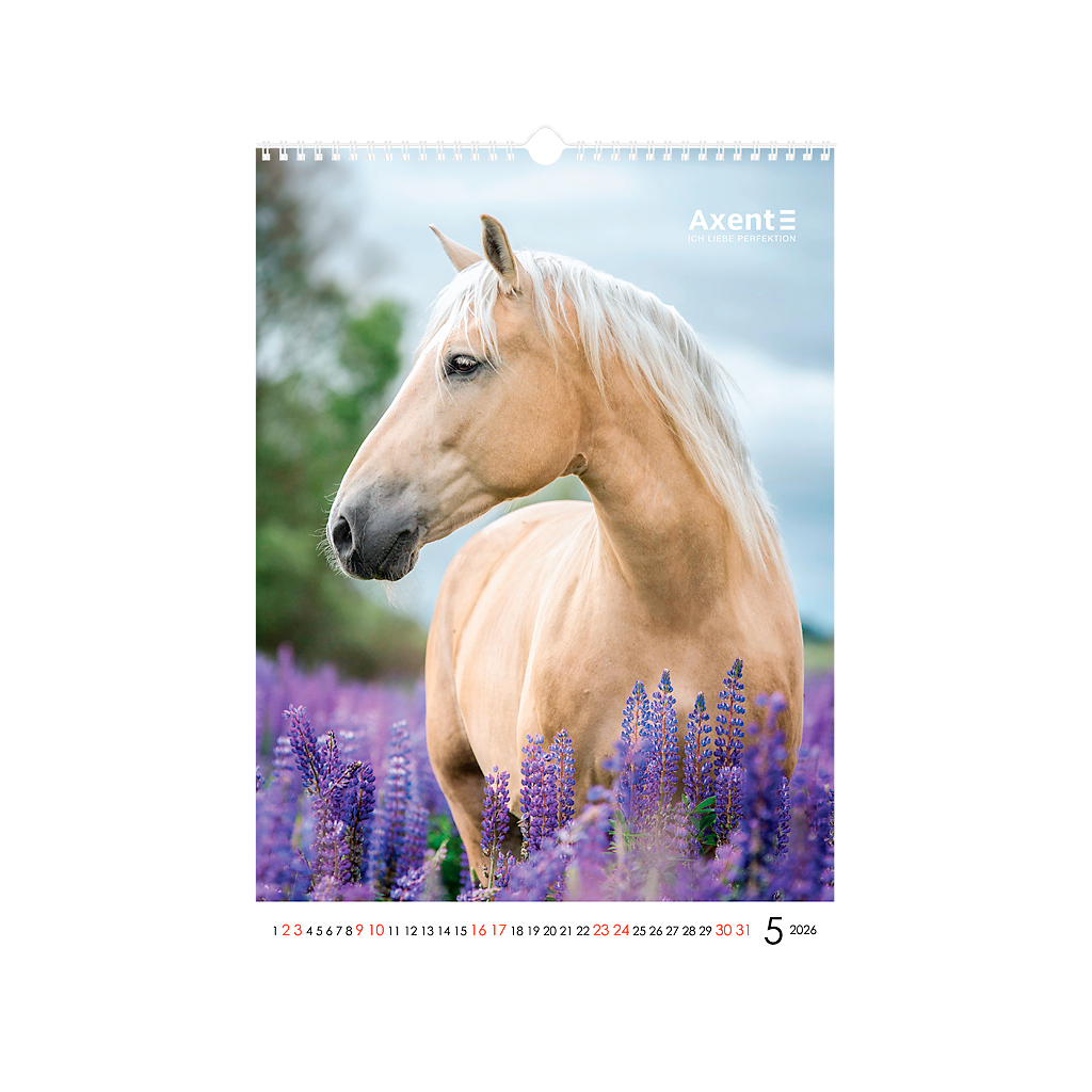 Календар Axent настінний А3 2026 р. Horses (8804-26-3-A) - изображение 6