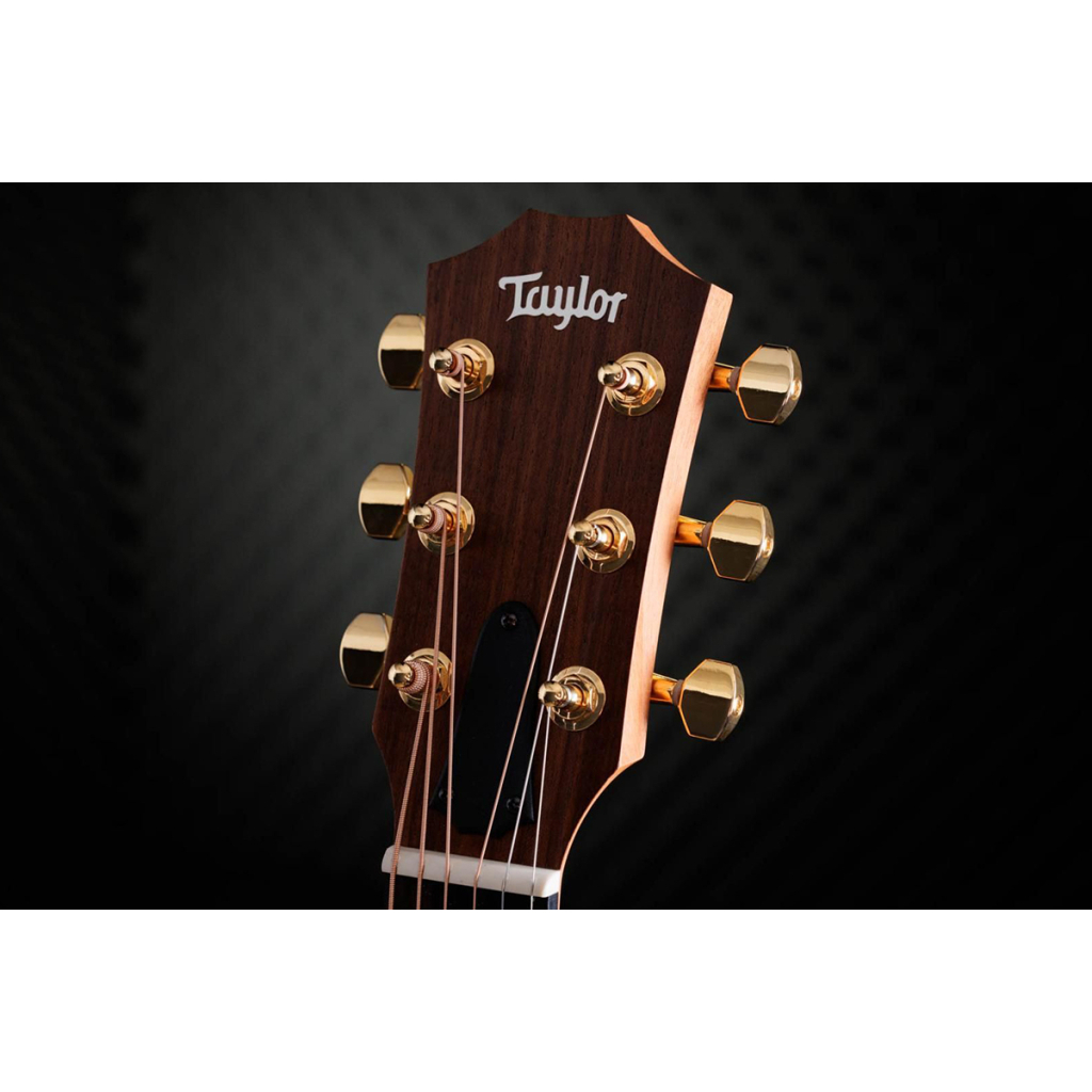 Гітара електроакустична Taylor Guitars 50th Anniversary GS Mini-e Rosewood SB LTD (236873) - изображение 5