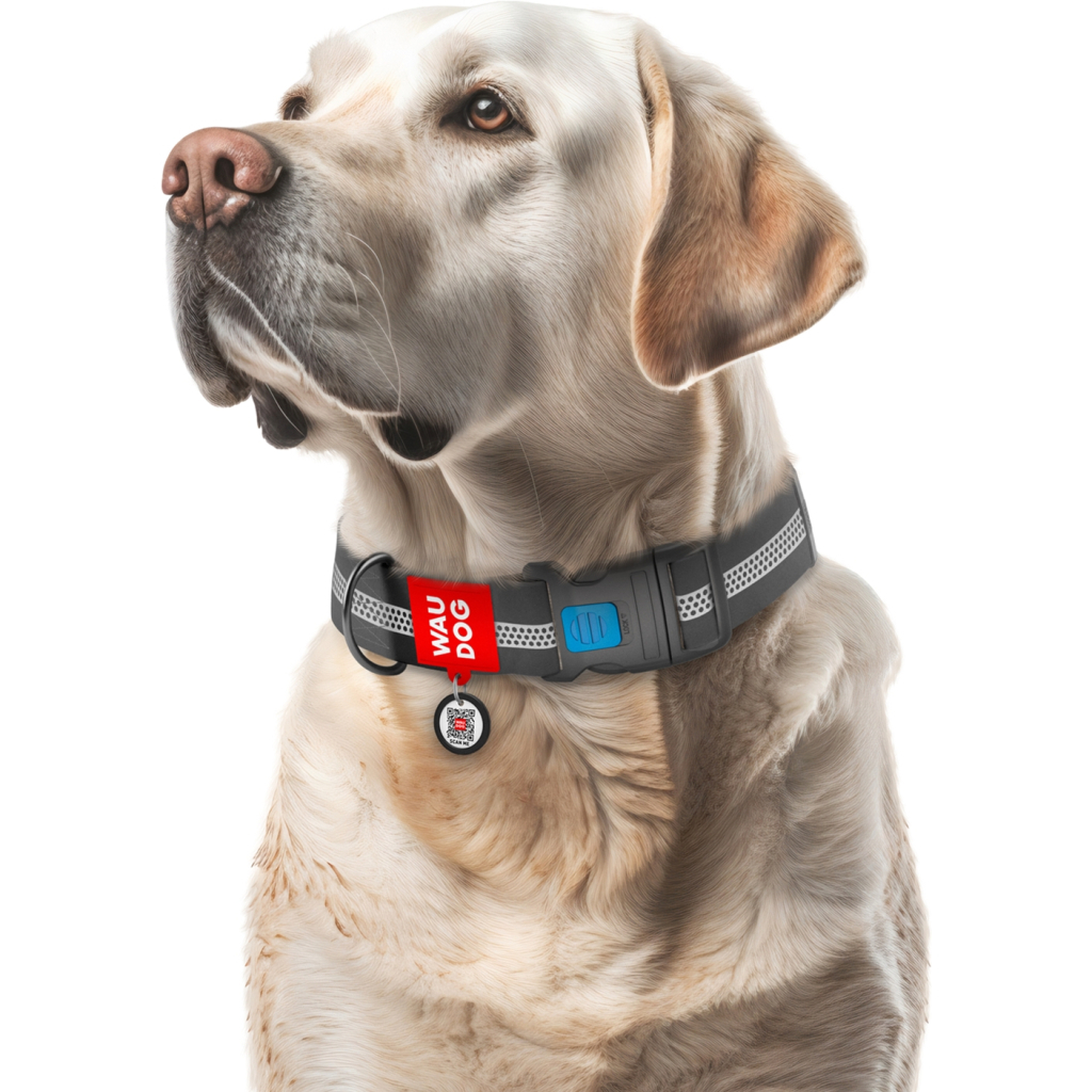 Нашийник для тварин WAUDOG Waterproof пластиковий фастекс XXL Ш 40 мм Д 46-70 см сірий (251011) - зображення 4