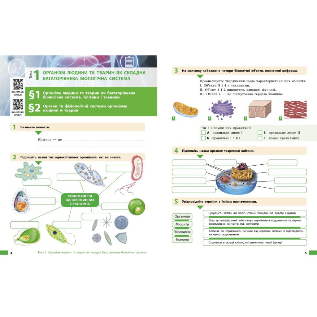 Робочий зошит Біологія. Для 8 класу ЗЗСО - О.В. Тагліна, А.М. Самойлов, Л.В. Довгаль Ранок (9786170998200) - зображення 5