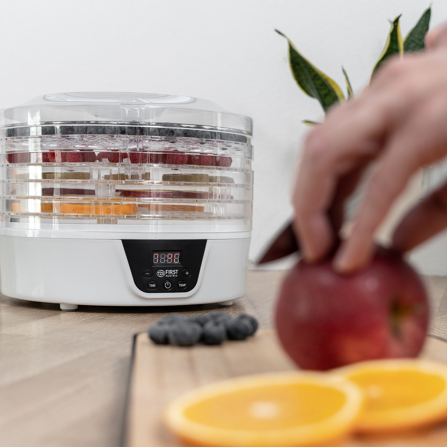 Сушарка First FA-5126-8 - зображення 10