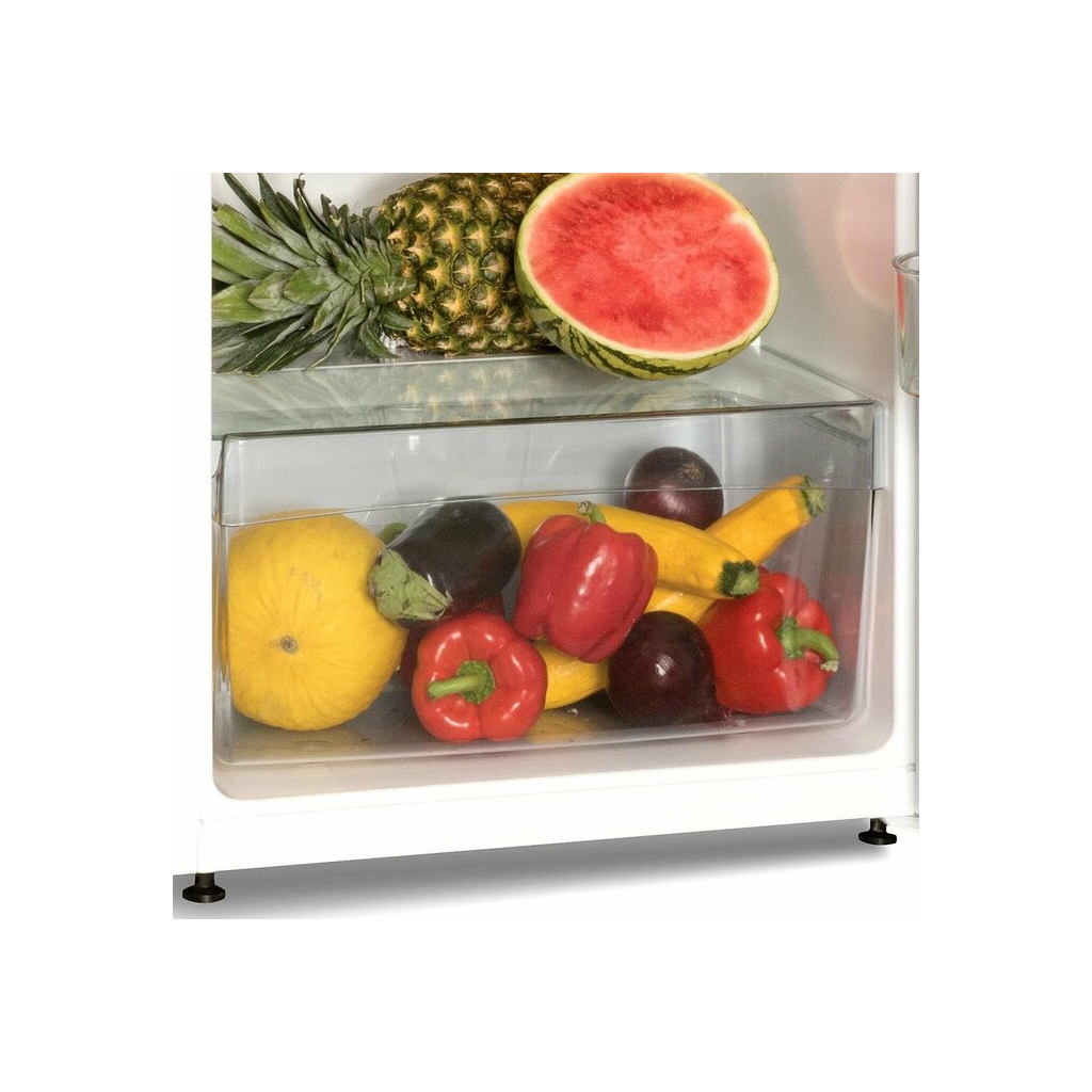 Холодильник Snaige FR24SM-PRDO0E - зображення 3