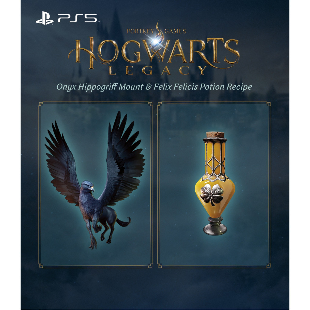 Гра Sony Hogwarts Legacy, BD диск (5051895413425) - изображение 12