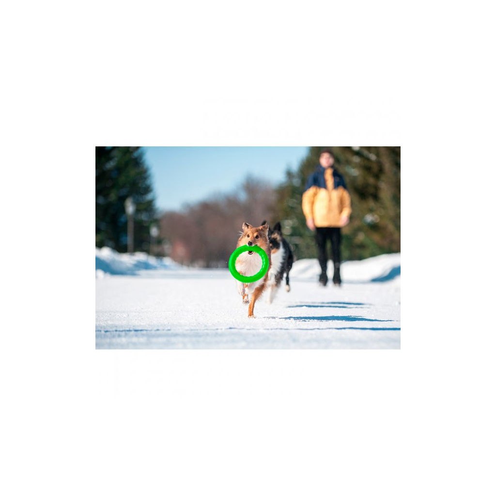 Іграшка для собак Collar PitchDog Кільце для апортування 17 см салатове (62365) - зображення 5