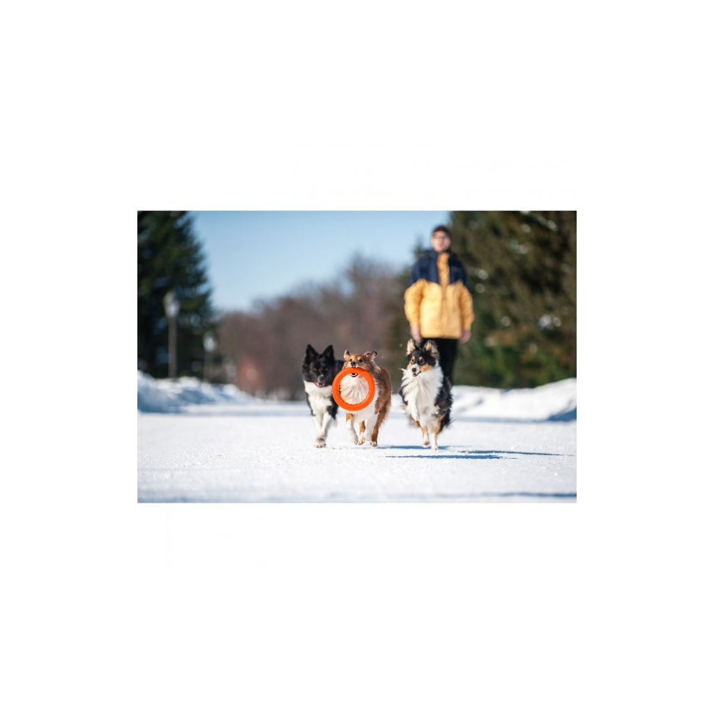 Іграшка для собак Collar PitchDog Кільце для апортування 28 см помаранчеве (62384) - зображення 6