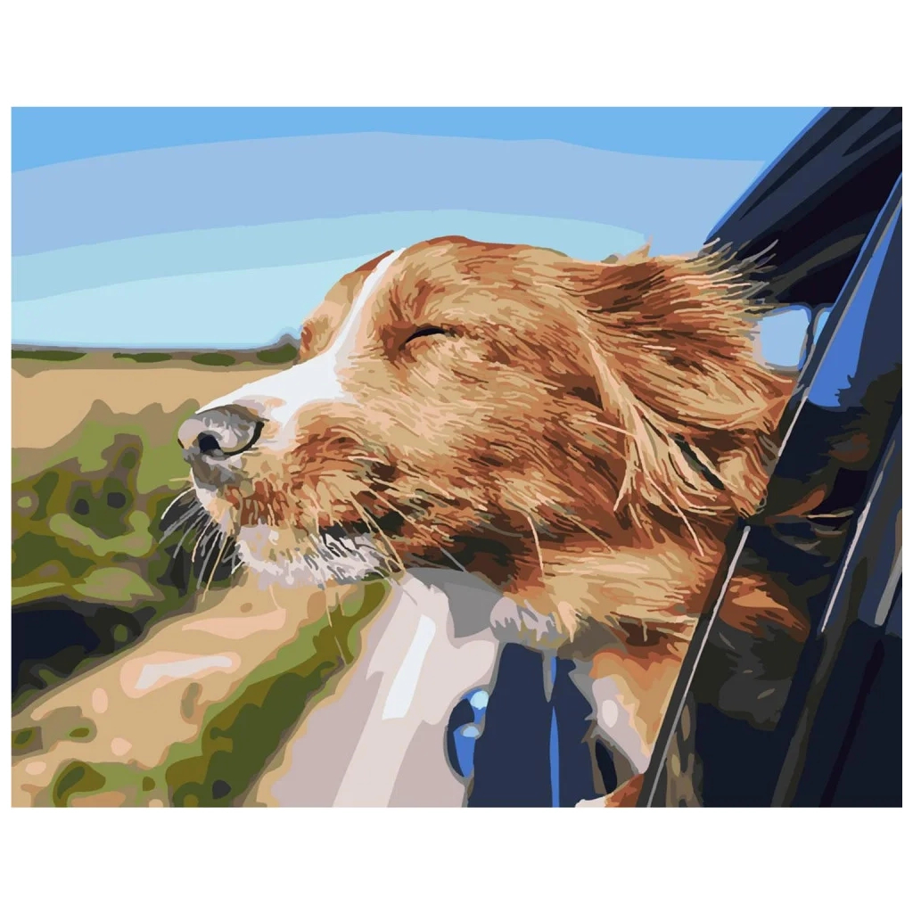 Картина по номерам Strateg Відчуття свободи 40х50 см (SY6347) - зображення 1