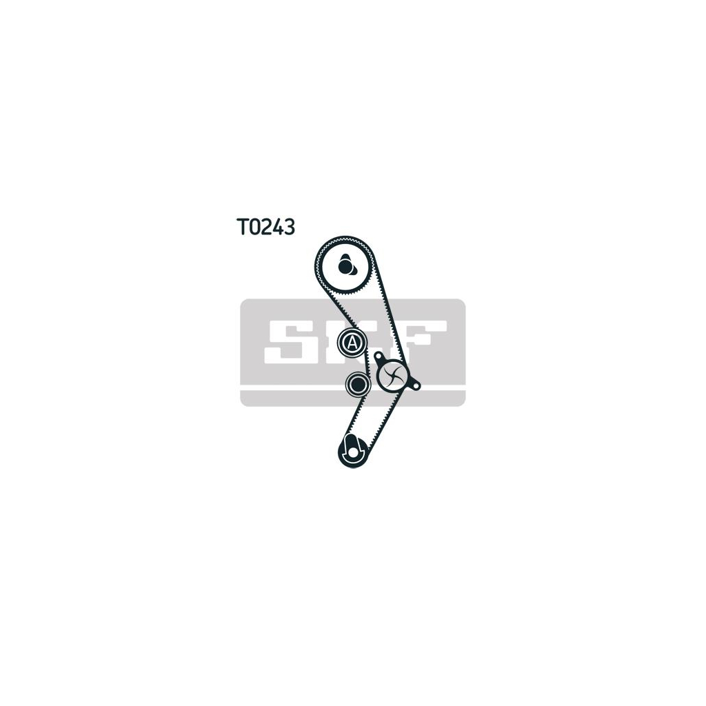 Комплект ременя ГРМ з помпой SKF VKMC 01936 - зображення 2