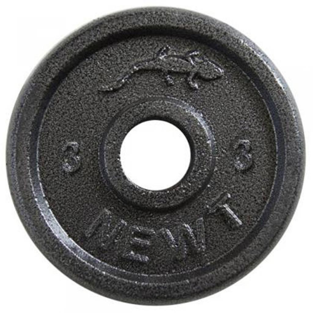 Диск для штанги Newt Home 3 кг, діаметр - 30 мм (NE-R003) - зображення 1