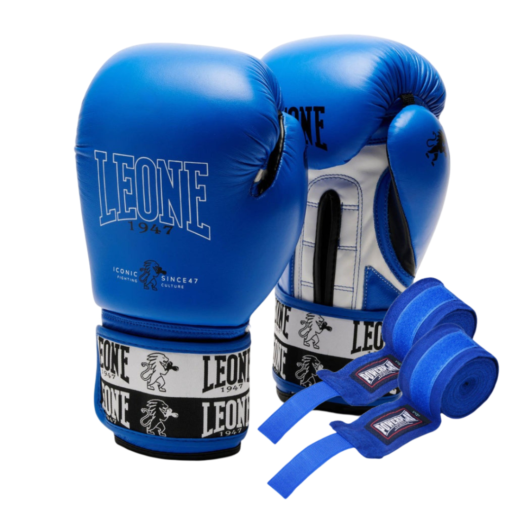 Боксерські рукавички Leone GN208 Iconic Blue 16 унцій (GN208_Blue_16oz) - зображення 1