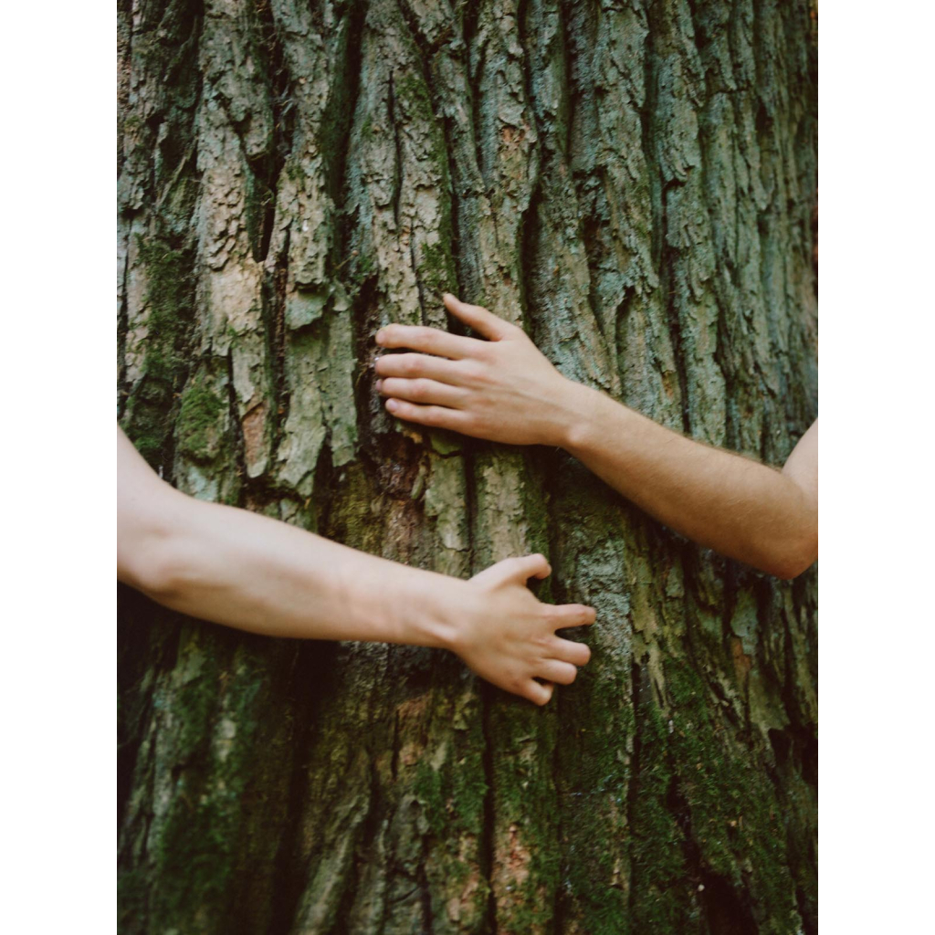 Гель для душу Yope Santal Tree, Saffron and Patchouli 400 мл (5903760202057) - зображення 4
