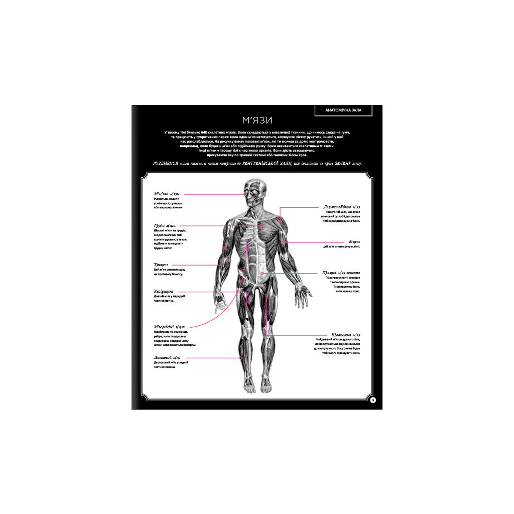 Книга Прихований світ людського тіла - Кейт Дейвіс #книголав (9786177820504) - зображення 9