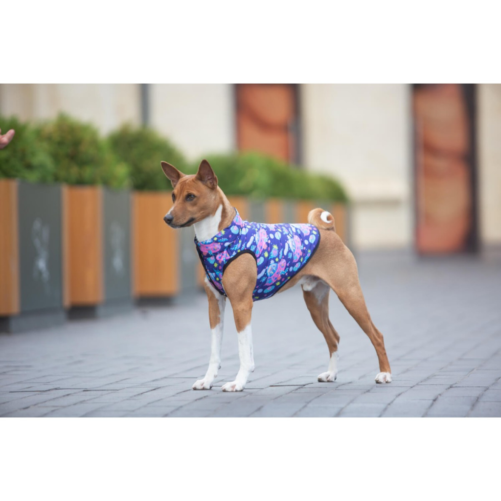 Курточка для тварин WAUDOG Clothes "Рік і Морті 1" L55 (0955-0280) - зображення 2