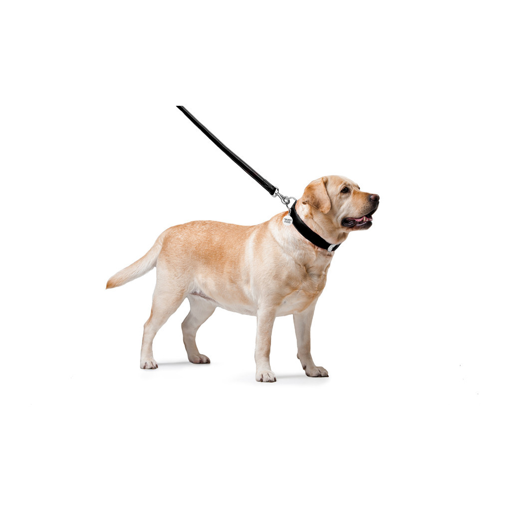 Повідець для собак WAUDOG Glamour шкіряний M-XXL чорний (33761) - изображение 3