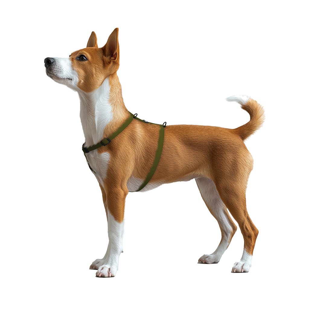 Шлея для собак WAUDOG Magnet анатомічна Н-подібна з QR-паспортом, магнітна пряжка-фастекс S хакі (262231) - зображення 5