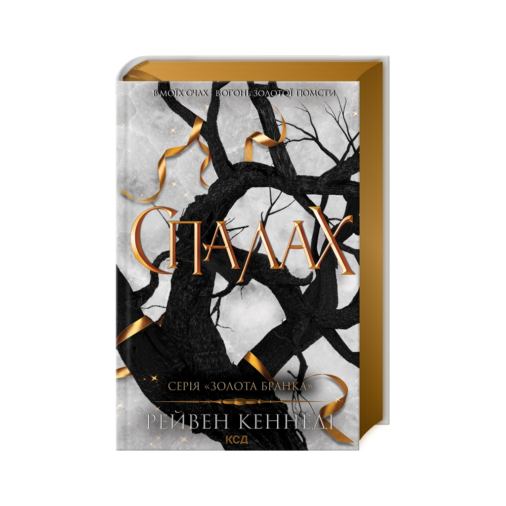 Книга Спалах - Рейвен Кеннеді КСД (9786171507975) - зображення 1