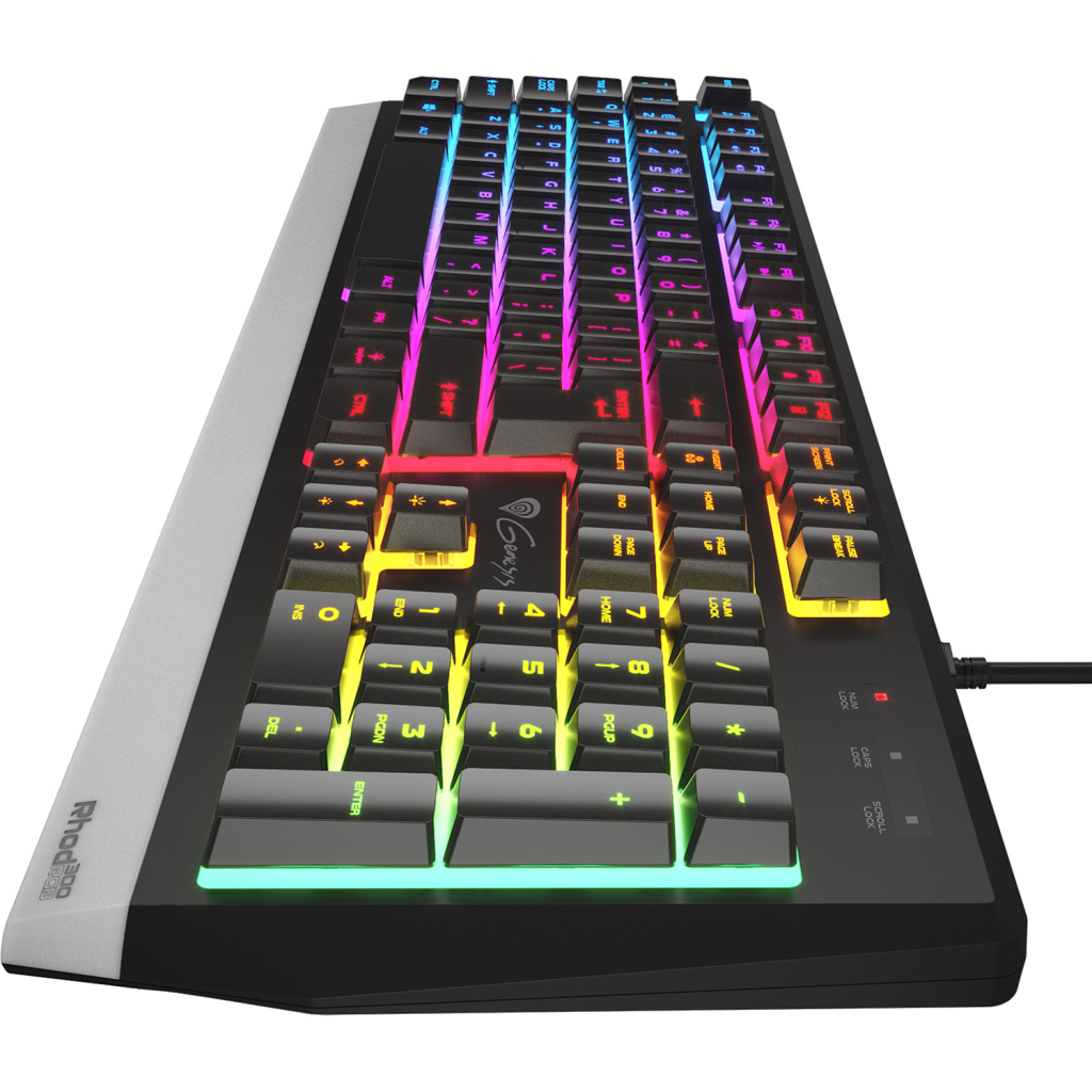 Клавіатура Genesis Rhod 300 LED Backlight USB Black (NKG-1823) - зображення 4