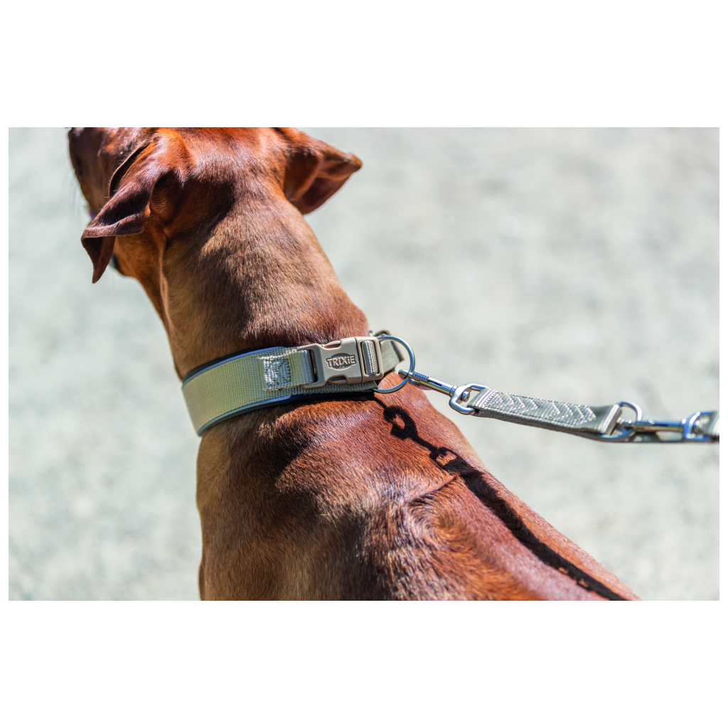 Нашийник для тварин Trixie Premium екстраширокий M-L 40-48 см 40 мм пісочно-сірий (4053032677524) - зображення 5