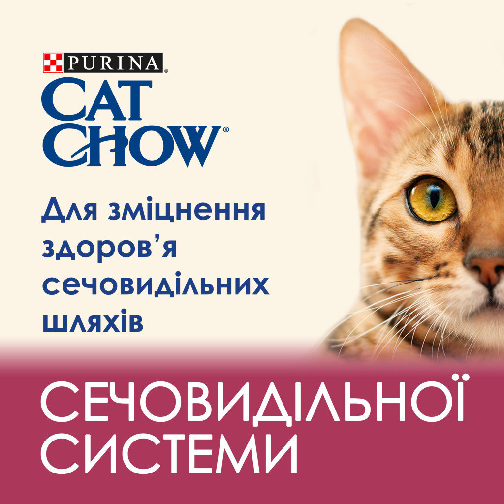 Сухий корм для кішок Purina Cat Chow Urinary Tract Health з куркою 1.5 кг (5997204514387) - зображення 5
