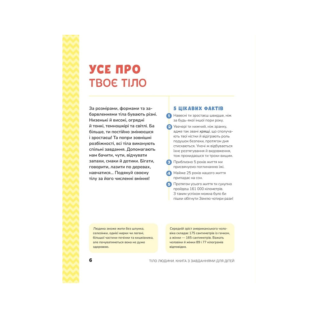 Книга Тіло людини. Розвивальні завдання для дітей - Кеті Стокс Vivat (9789669425218) - зображення 4
