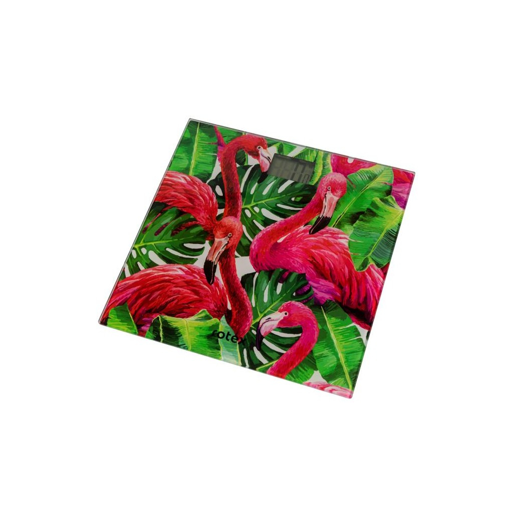 Ваги підлогові Rotex RSB06-P - зображення 2