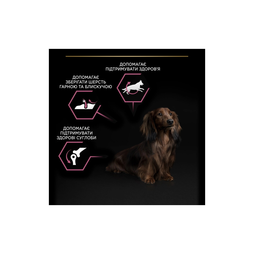 Сухий корм для собак Purina Pro Plan Small&Mini Sensitive Skin з лососем 7 кг (7613035123441) - зображення 8