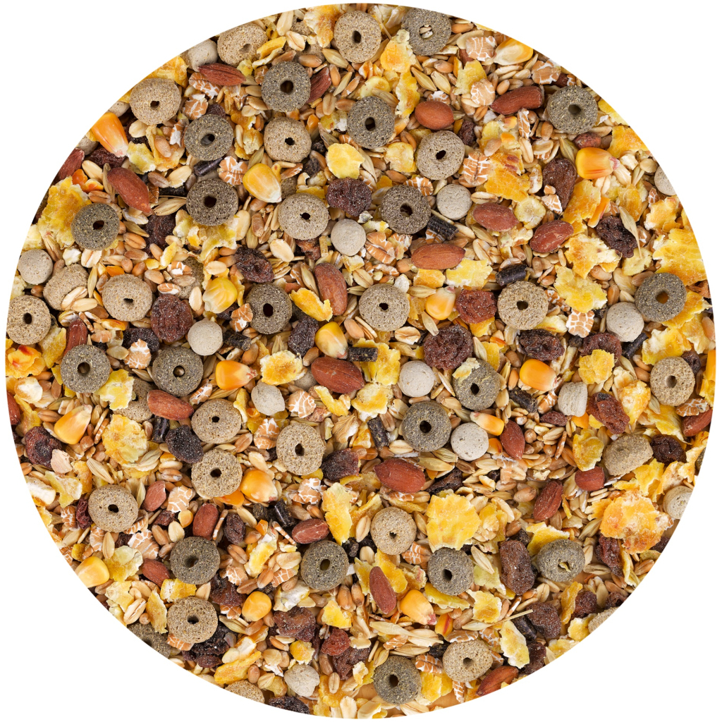 Корм для гризунів Vitakraft Premium Menu Vital для декоративних гризунів та щурів 1 кг (4008239256577) - зображення 5