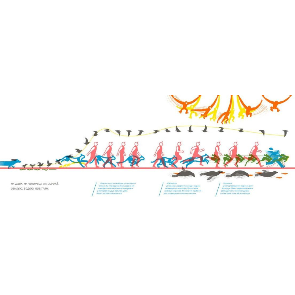 Книга Куди і звідки - Романа Романишин, Андрій Лесів Видавництво Старого Лева (9786176798217) - зображення 4