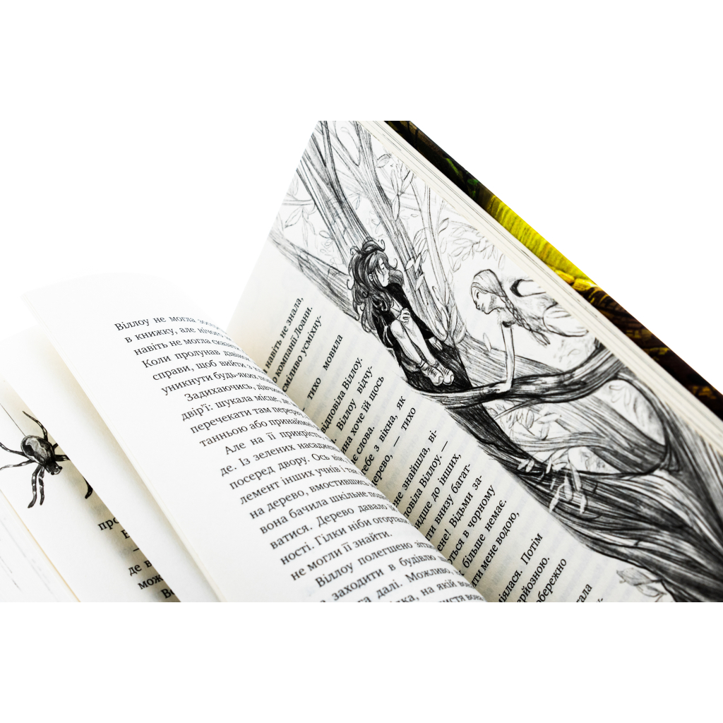 Книга Дівчинка на ім'я Віллоу - Забіне Больман КСД (9786175482544) - изображение 4