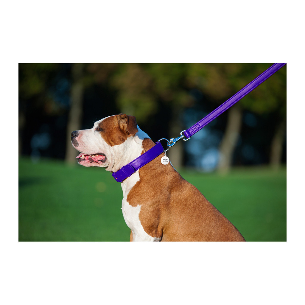 Повідець для собак WAUDOG Glamour шкіряний M-XXL фіолетовий (33769) - зображення 7