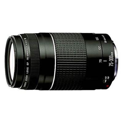 Об'єктив Canon EF 75-300mm f/4-5.6 III (6473A015) - зображення 1