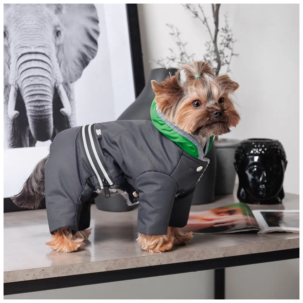 Костюм для тварин Buddy Boo Din XS (4823082432226) - зображення 7