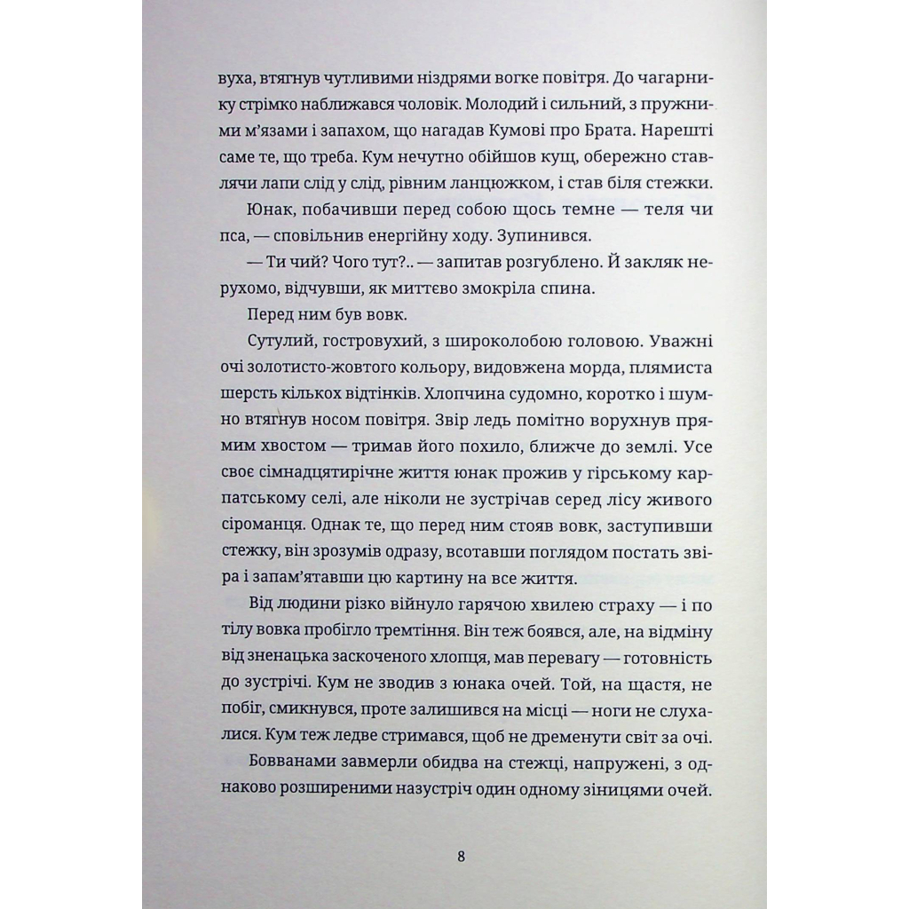 Книга Тамдевін. Бора - Галина Вдовиченко Видавництво Старого Лева (9789664483114) - зображення 8