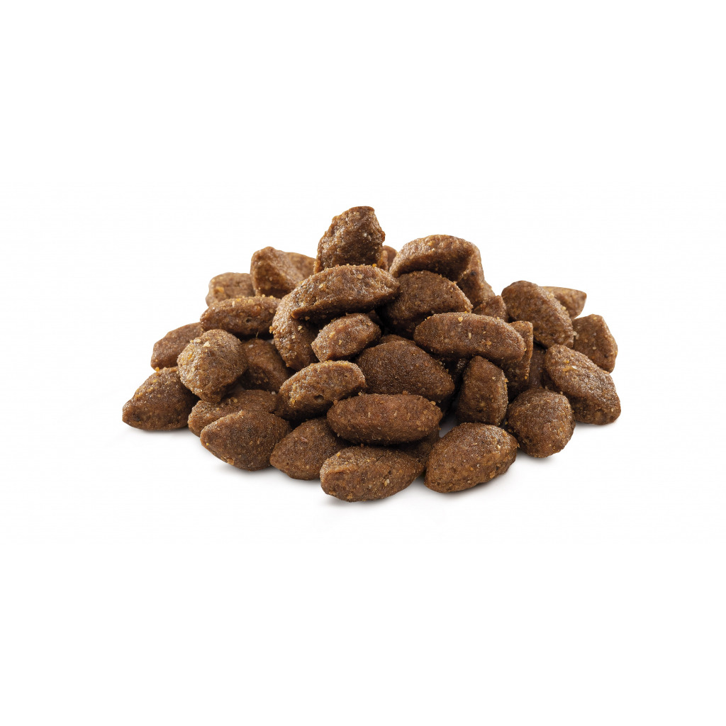 Сухий корм для собак Brit Premium Dog Sport 3 кг (8595602526666) - зображення 2