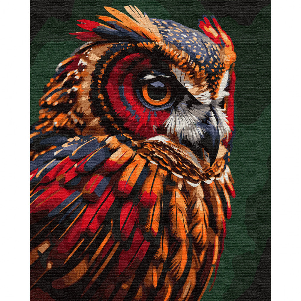 Картина по номерам Santi Совиний погляд 40х50 см (954806) - зображення 1