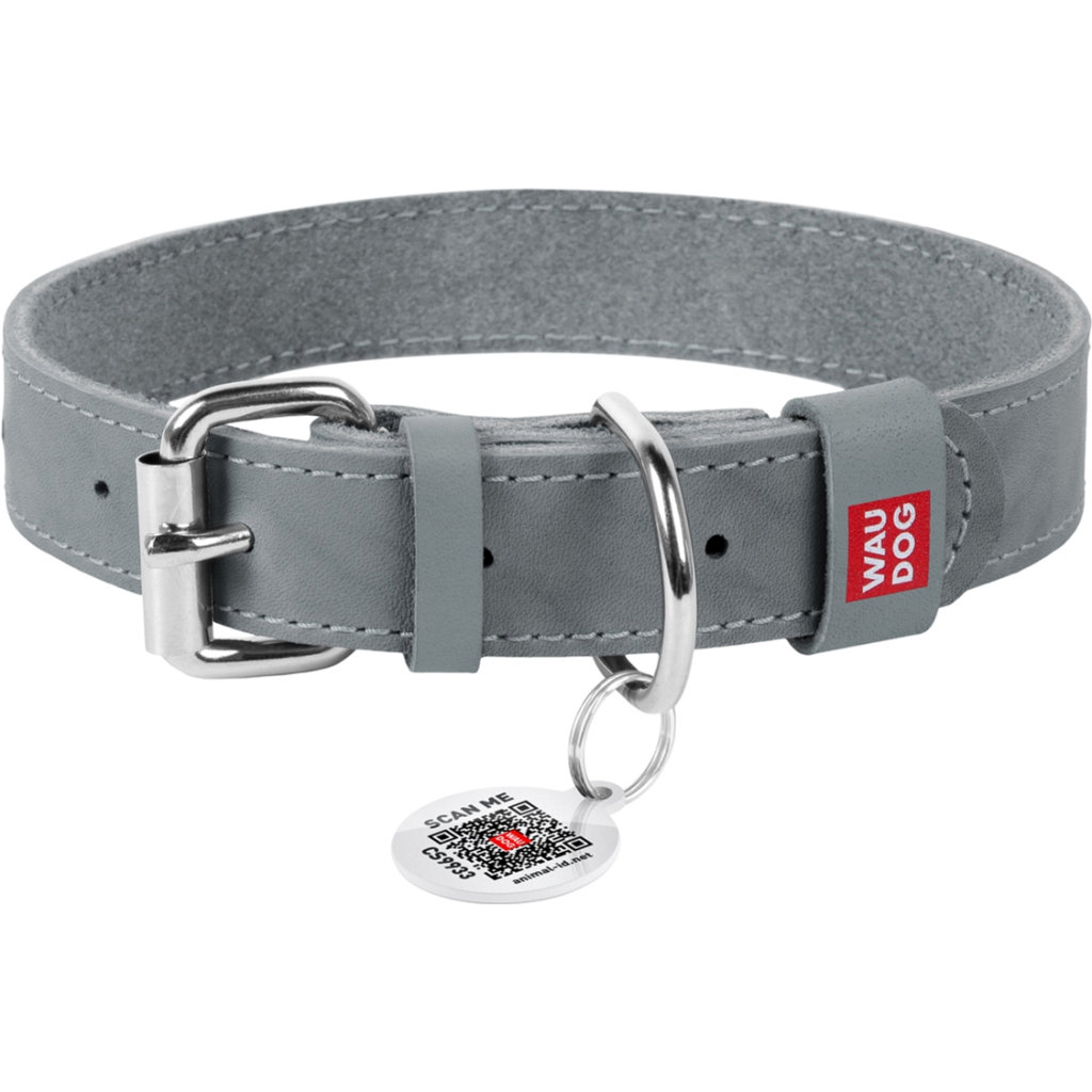 Нашийник для тварин WAUDOG Classic шкіряний 25 мм х 38-49 см сірий (021811) - зображення 1