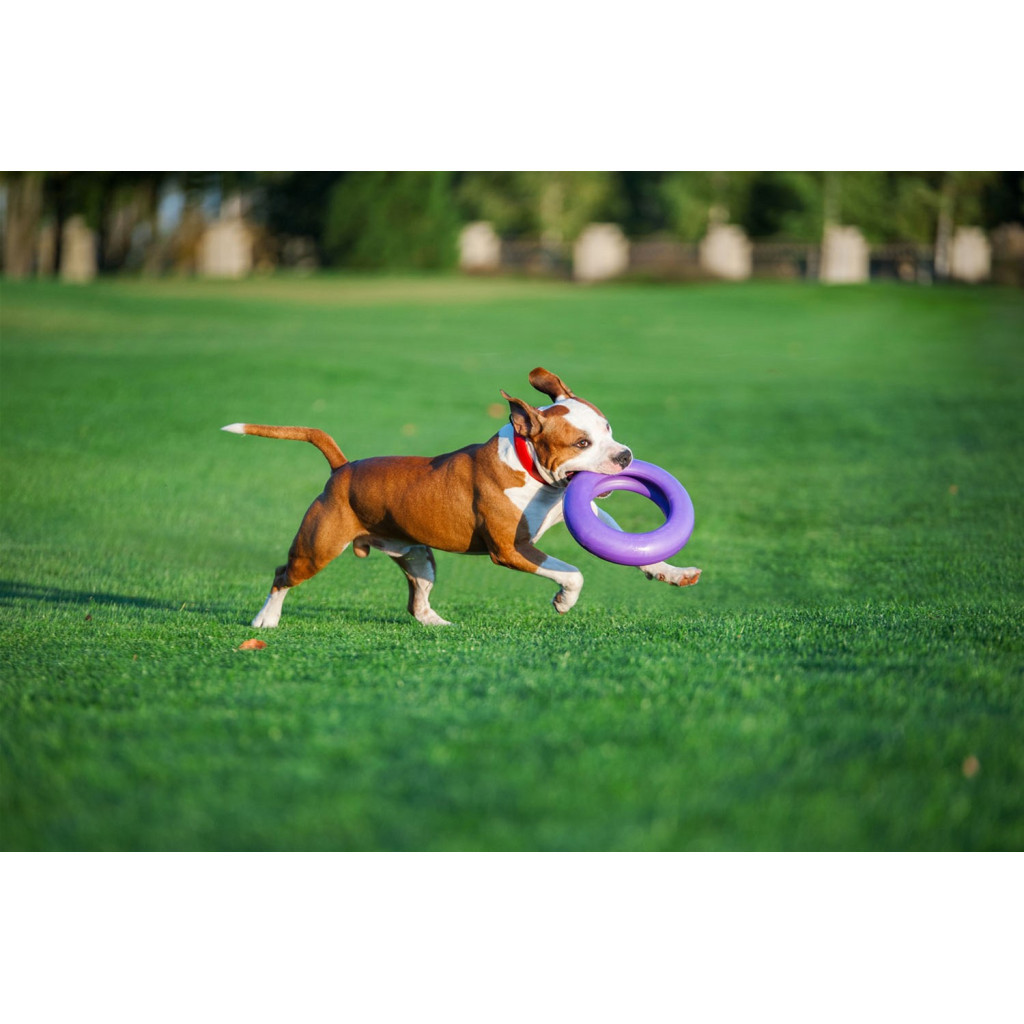 Іграшка для собак Puller Maxi 30 см (6492) - изображение 7